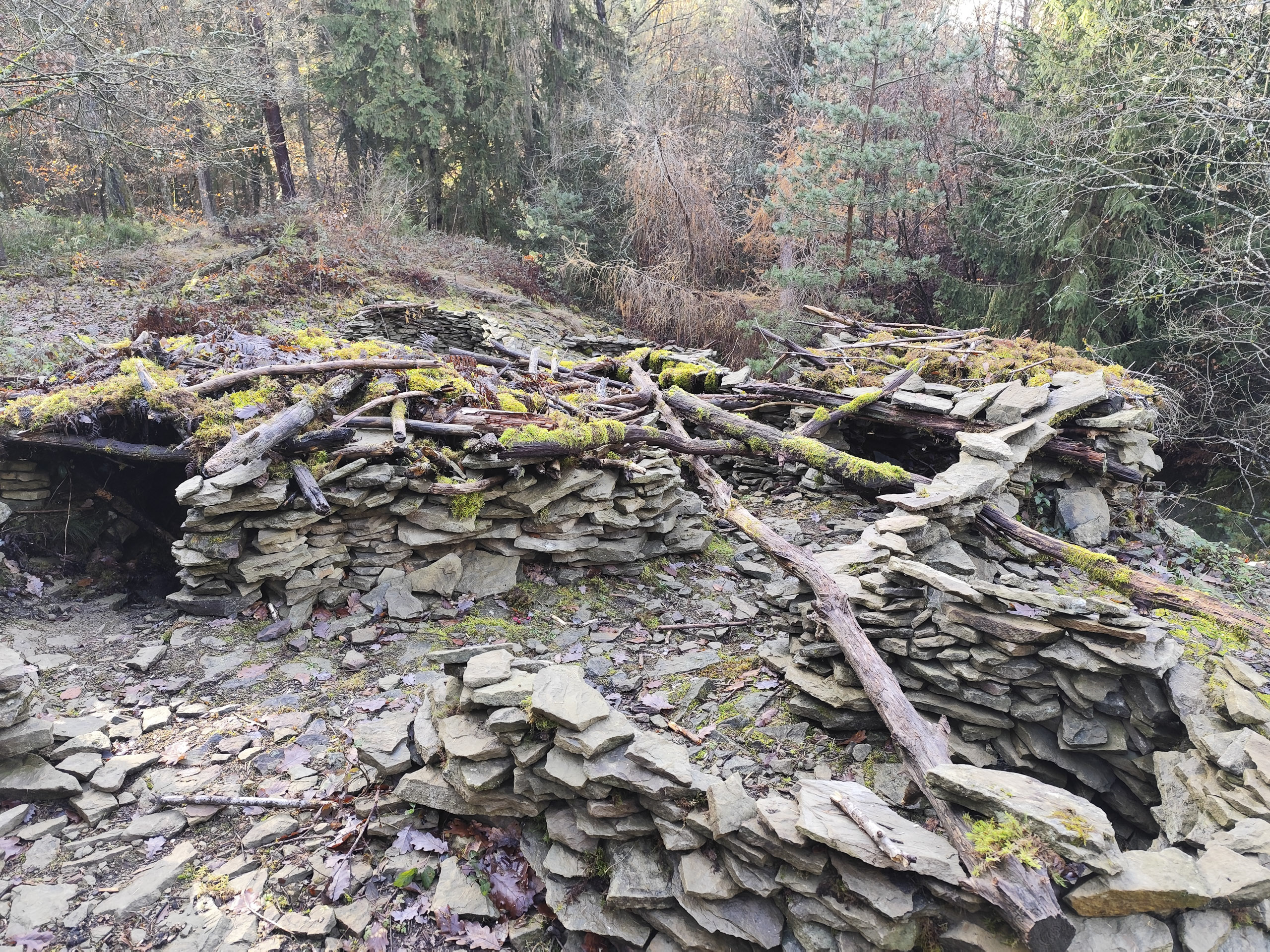 20251129121648 IMG 20251129 121648